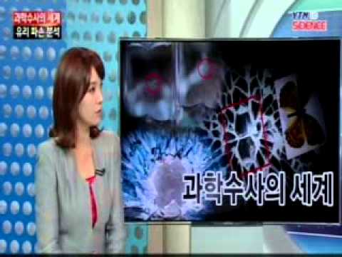 [과학수사의 세계] 유리 파손 분석 / YTN 사이언스