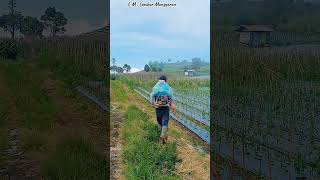 #Great young Farmer#natural # bautuful Nature#eradicate pests