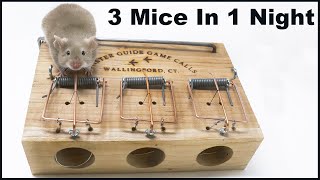 Mouse Triple - The Master Guide Game Calls Mouse Trap x 3 Mice. Mousetrap Monday