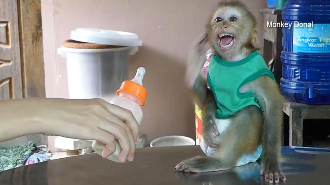 Mom Just Kidding But Donal Angry