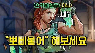 발로란트 스카이 성우분에게 