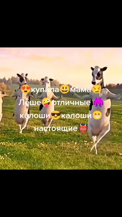 Купила мама леши🥰 - YouTube