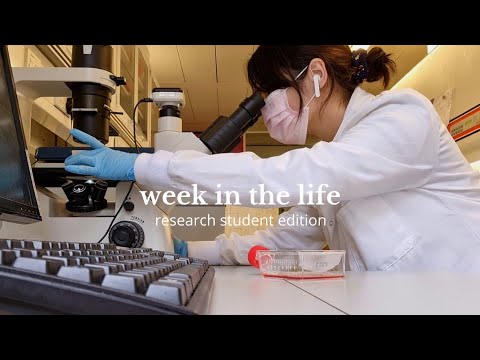 week in the life of a research student at imperial college | cell culture, protocol plan & coffee