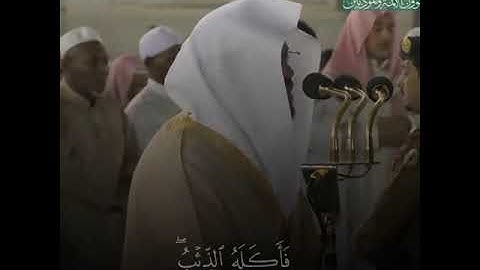 سورة يوسف - بصوت القارئ ياسر الدوسري