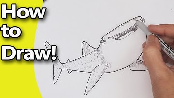 How to Draw  Finding Dory Characters | Destiny the Whale Shark | Step by Step Drawing Tutorial