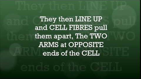 OCR 21st Century B5 - 