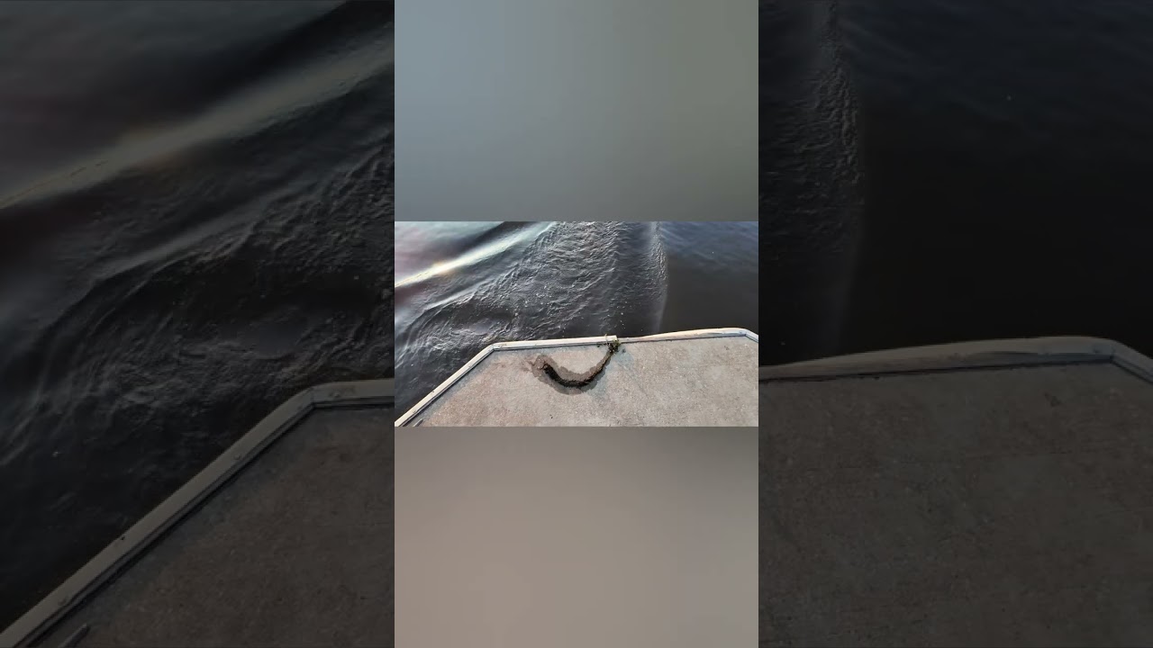 Tug boat, SWAT air boat and a speed boat.