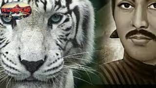 Ajian Macan Putih || Sunnan Kali jaga