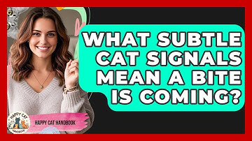 What Subtle Cat Signals Mean A Bite Is Coming? - Happy Cat Handbook