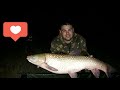 Karpfishing ТРОФЕЙНЫЙ АМУР  ЛОВЛЯ КАРПА НА КУБАНИ