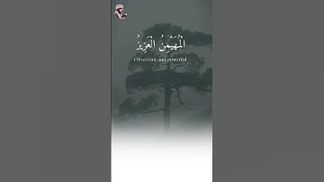 تلاوة مؤثرة لآية {هُوَ اللَّهُ الَّذِي لَا إِلَـٰهَ إِلَّا هُوَ} من سورة الحشر - أسماء الله الحسنى