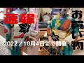 着物が2000円代から⁉️きものお買い物速報 きものステーション京都で時代衣装池田さん黄八丈試着して買う着物初心者 アンティーク着物 リサイクル着物