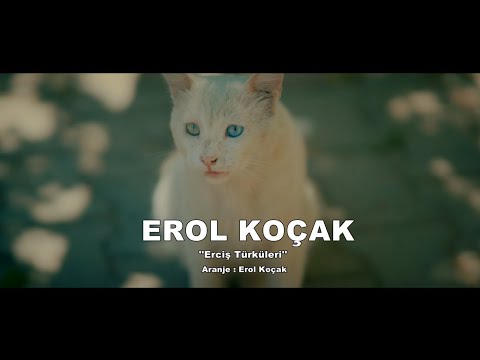 EROL KOÇAK - POTPORİ - ERCİŞ TÜRKÜLERİ - ERCİŞ’İN SOĞUK SUYU