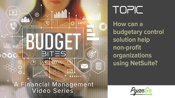 BUDGETBITES: How can a Budgetary Control Solution help Non-profit Organizations using NetSuite?