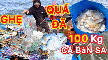 CÁ BÀN SA Quá NhIỀU_Giác Lưới GẦN 100 Kg CÁ_TRÚNG ĐẬM Với Rất NHIỀU Loại Hải Sản Có Giá Cao