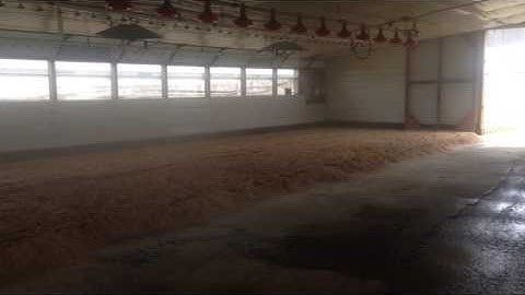 sawdust spreader