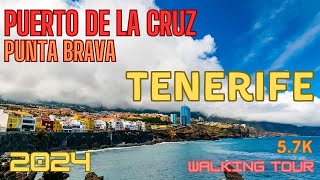 CANARY ISLANDS, Tenerife - Puerto de la Cruz - Punta Brava