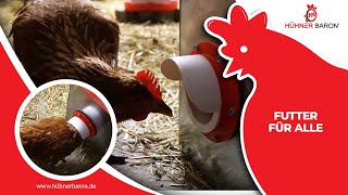 Der Futterautomat für Hühner: Eine gerechte Versorgung für alle | CLUCK-O-MATIC®