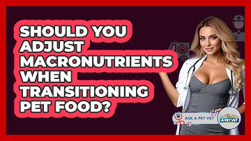 Should You Adjust Macronutrients When Transitioning Pet Food? - Ask A Pet Vet