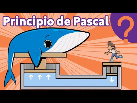 Video: ¿Pascal puede venir dos veces al día?