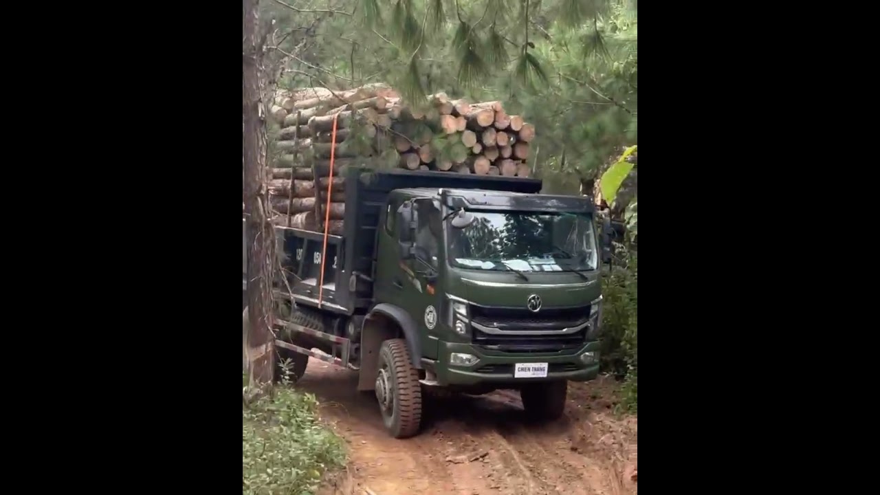 Xe tải ben CHIẾN THẮNG 7,7 tấn 2 cầu dầu thực chiến đường rừng