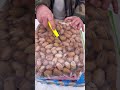 Premium Quality Nuts 🌰🥜 | Fresh, Crunchy & Naturally Delicious