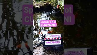 Download Lagu Cundamani 6 Not 🔥 #basuri #busmania #telolet #automobile #shorts #trending #shortsviral MP3