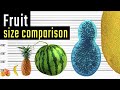 Comparaison de la taille des fruits le plus gros fruit de la plante