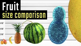 Fruit Size Comparison. The Biggest Fruit on the Planet.