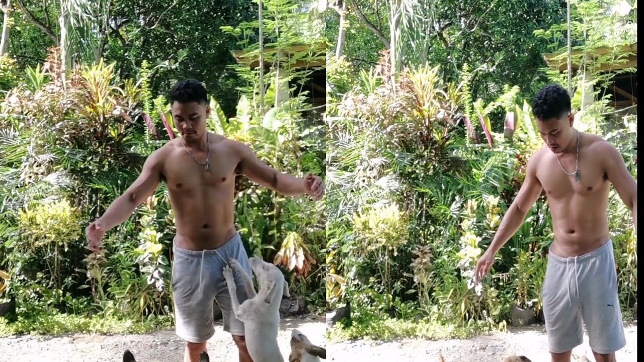 my morning routine with my doggies #petlovers  #myhappiness #thankyoulord