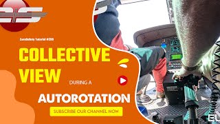 #299 - Airbus AS350 (H125): Collective View During an Autorotation