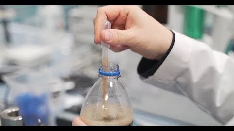 Pepsi production process in factory