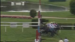 Amazing Six Way Photo Finish at Saratoga screenshot 4