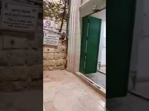 ما لا تعرفه عن المسجد الإبراهيمي أكثر من نبي مدفون في داخل المسجد تعرف عليهم آثار فلسطين الخليل