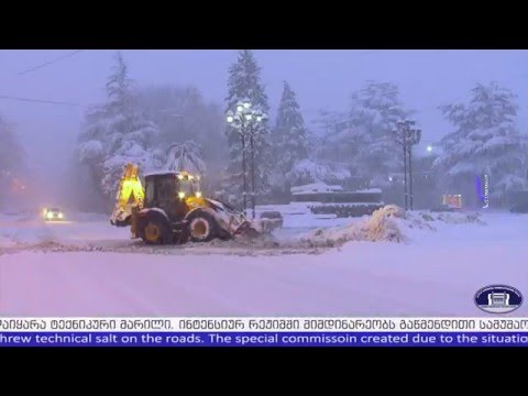 დიდთოვლობა ზუგდიდში