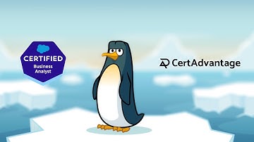 Salesforce Business Analyst Practice Test Walkthrough - Part 4