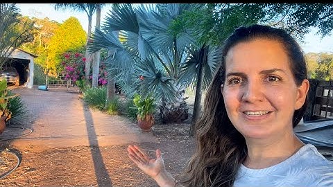 FOMOS LÁ PRA CASA! O SÍTIO TÁ A COISA MAIS LINDA! Olha NOSSAS FRUTÍFERAS 😍👏 FRAN ADORNO