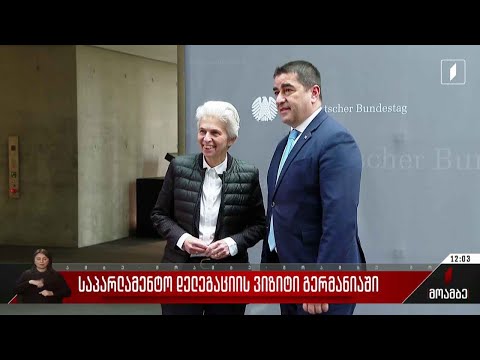 საპარლამენტო დელეგაციის ვიზიტი გერმანიაში