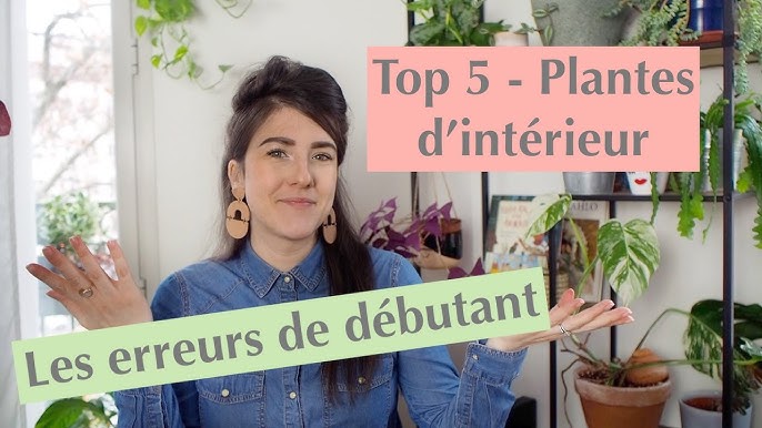 Rempoter une plante d'intérieur - Mon jardin d'idées