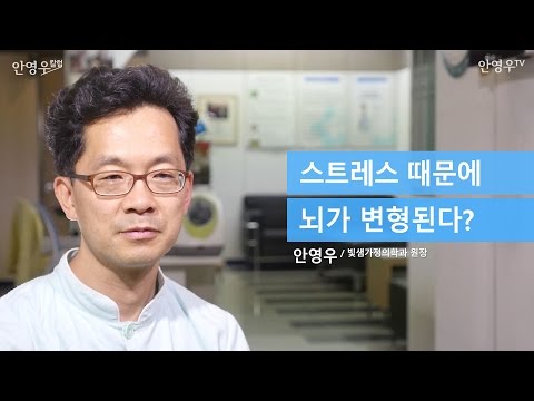 [만성피로 만성통증]  스트레스성 질환이 낫지 않는 이유, 뇌기능 저하