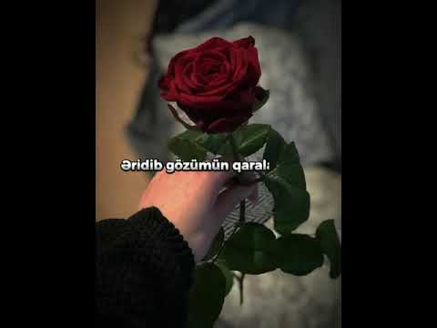 Status üçün gözəl video Canım anam