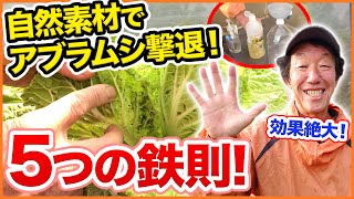 家庭菜園や農園で自然素材でアブラムシを徹底的に撃退・駆除！害虫対策で効果絶大なアブラムシ対策5つの鉄則とは！？/ 5 methods of aphid extermination.