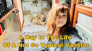 Vanlife Living Solo Female 50 + | Day In The Life | Merchandiser Gigs | Thrifting Haul  | Ep. 80