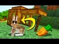 EASY Ways to Make Minecraft Traps (Only One Command)