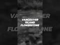 Vancouver Island Flowerstone