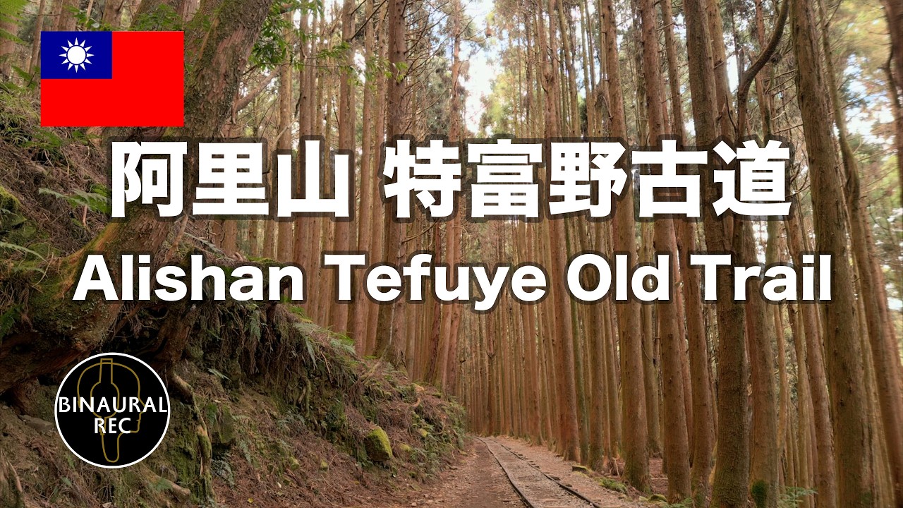 【Forest birdsong】 in Alishan,Taiwan: Nature Sounds for Deep Sleep , Study Aid , Stress Relief (ASMR)