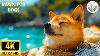 4K - 8 Hours Dog Sleep Music 🐶 Stress Relief Music For Dogs ♬ Relaxing Music For Dogs