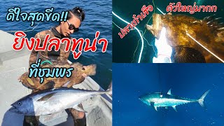 ยิงปลาทูน่า กับ ปลาเก๋ายักษ์ ทะเลชุมพร Spearfishing Thailand