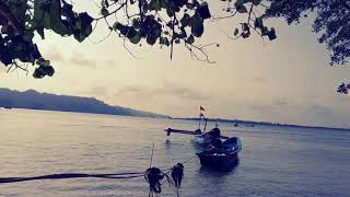 Status wa bertema laut