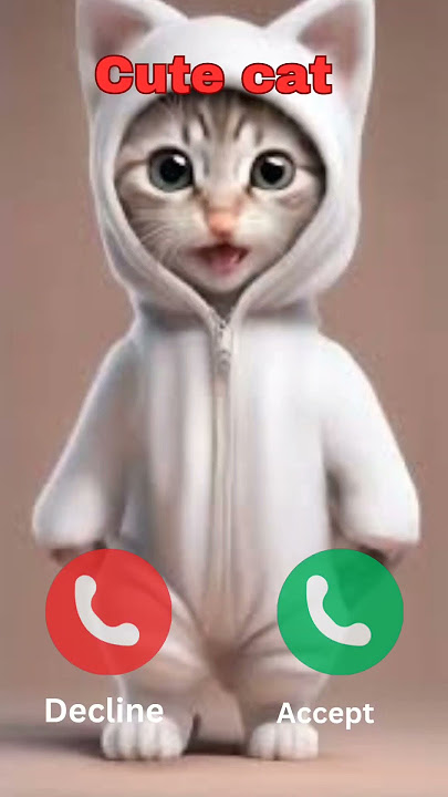 Hello #ringtone #nadaderingtelepon #smartphone #ringtones #music #bgm #cat #funny
